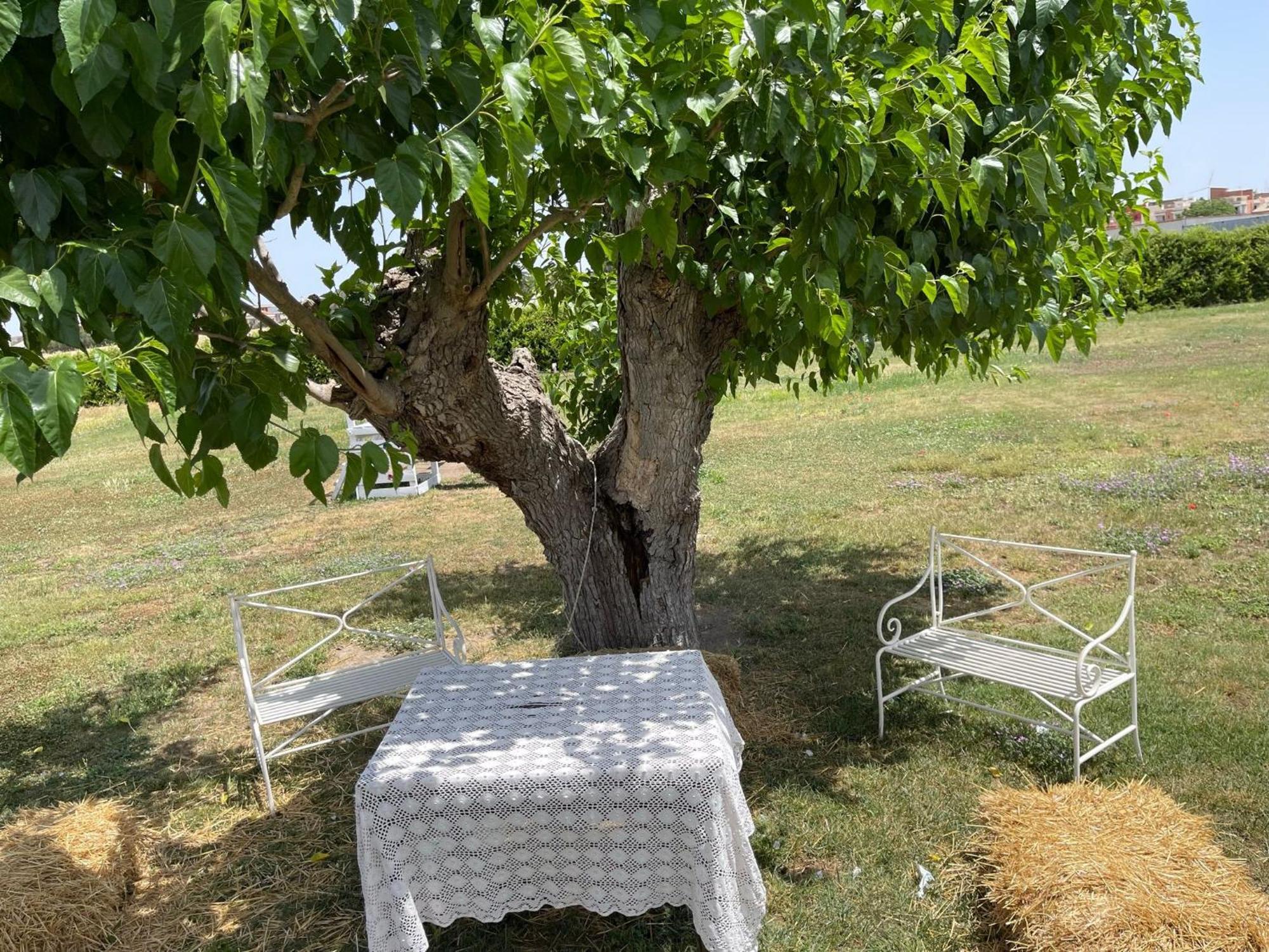 La Massaria Agriresort Orta Nova Zewnętrze zdjęcie